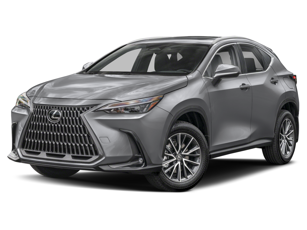 2024 Lexus NX 350h Premium
