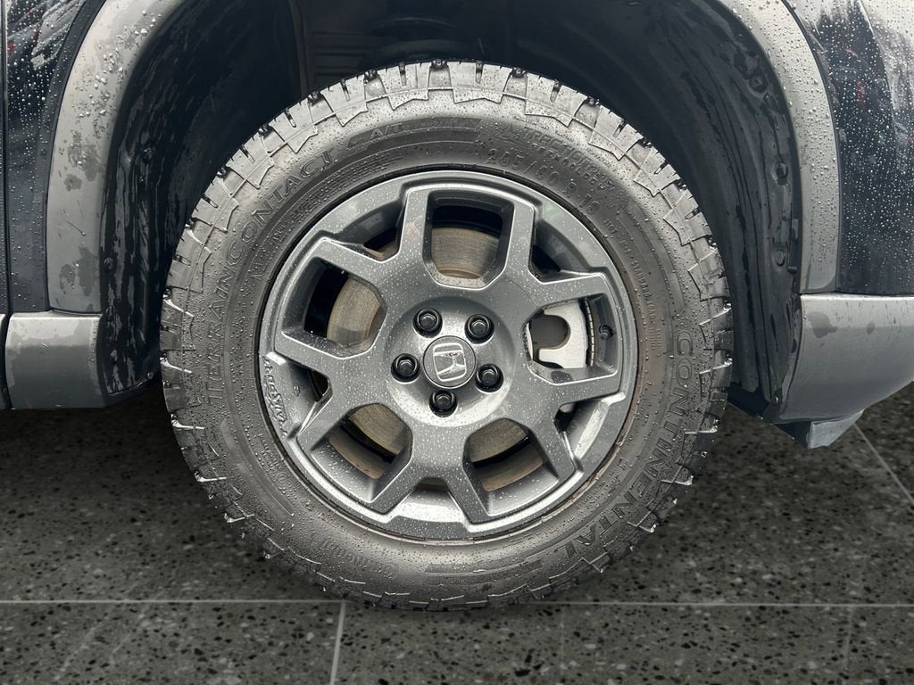 2025 Honda Pilot TrailSport