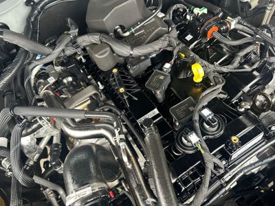 2024 Ford Bronco Everglades