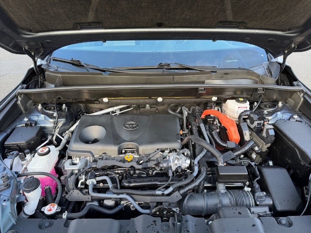 2024 Toyota Venza XLE