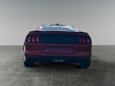 2023 Ford Mustang GT