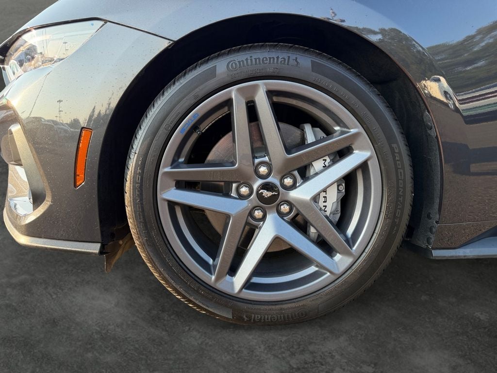 2024 Ford Mustang GT CALIFORNIA SPECIAL