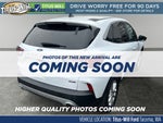 2022 Ford Escape Hybrid SE