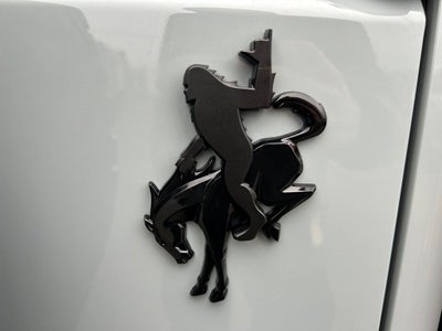 2024 Ford Bronco Everglades