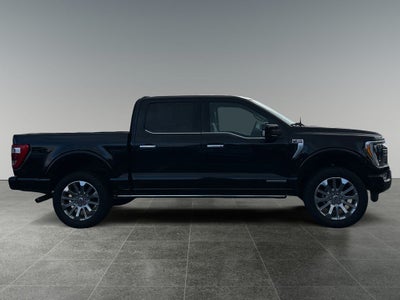2023 Ford F-150 Limited