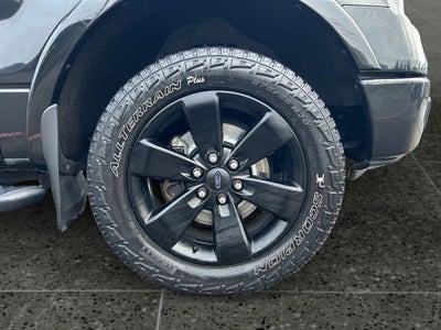 2014 Ford F-150 FX4
