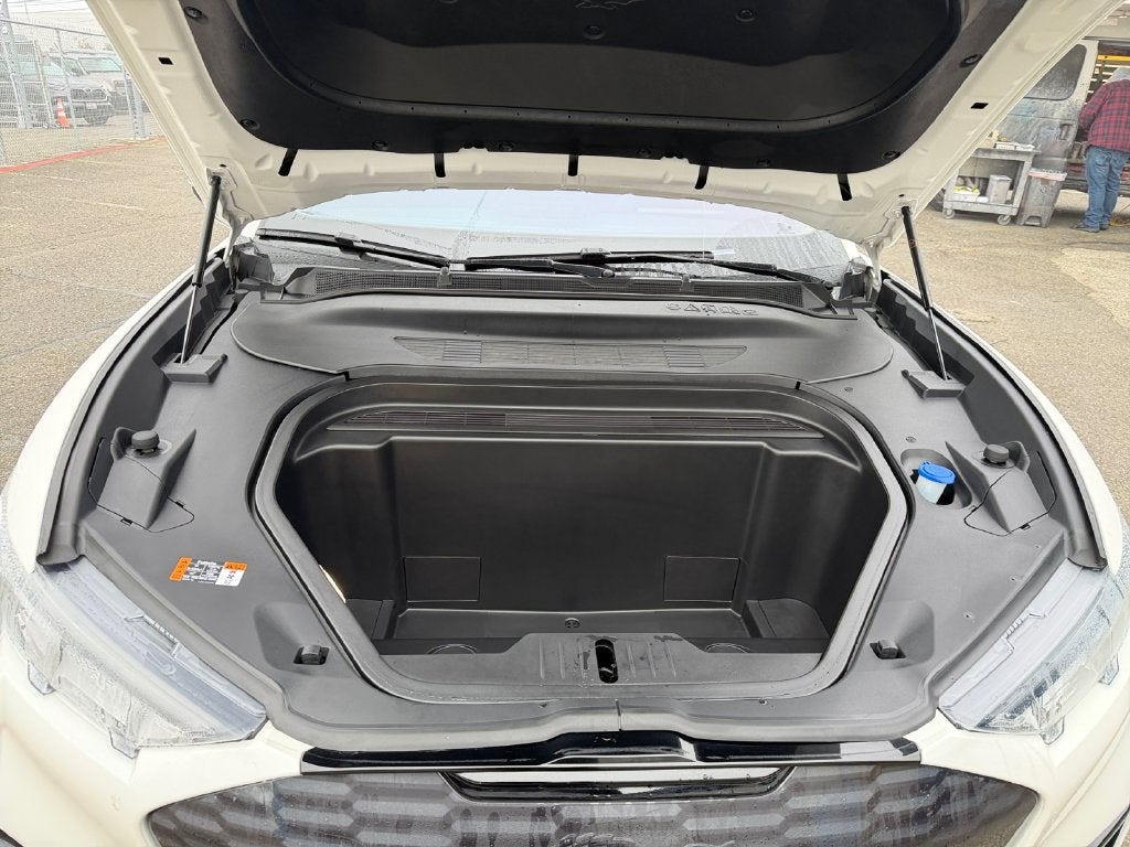 2021 Ford Mustang Mach-E GT