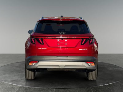 2025 Hyundai Tucson Hybrid Limited