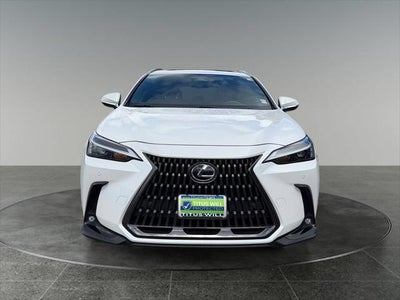 2023 Lexus NX 350 Premium