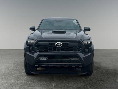 2025 Toyota TACOMA TRD SPORT TRD Sport