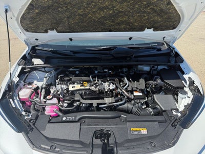 2025 Toyota Prius Nightshade