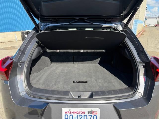 2019 Lexus UX 250h HyBrid AWD--1 Owner