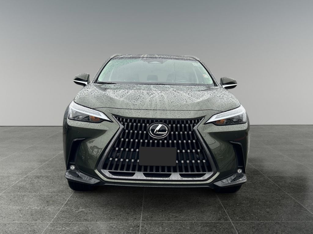 2025 Lexus NX 350h Premium