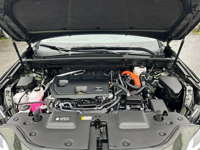 2025 Lexus NX 350h Premium