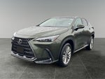 2025 Lexus NX 350h Premium