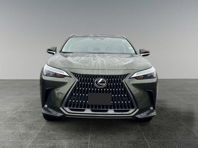 2025 Lexus NX 350h Premium