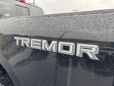 2025 Ford F-350SD Platinum