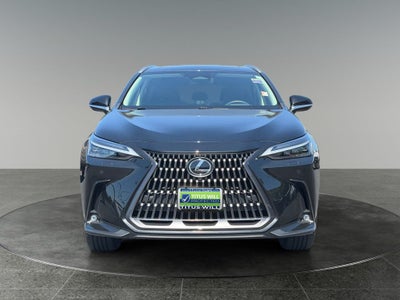 2024 Lexus NX 350h Luxury
